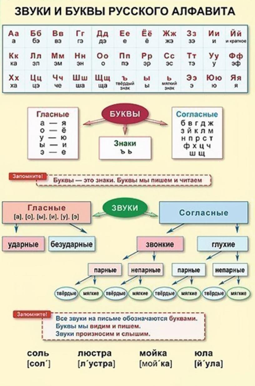 Алфавит гласные и согласные звуки и буквы русского языка картинки