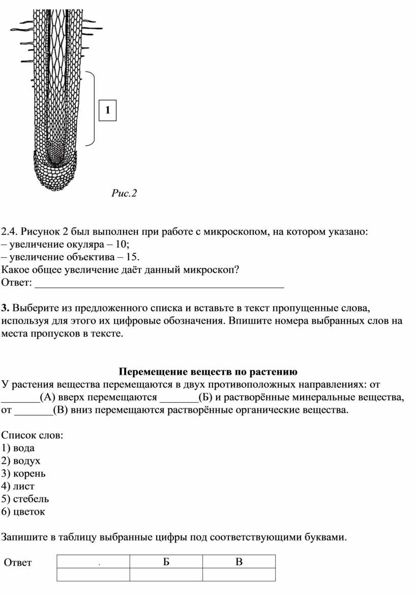 Диагностическая работа по биологии в формате ВПР. 6 класс.1-2 вариант.