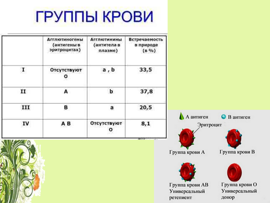 Находится в 4 группе. Антигены 1 группы крови. Группы крови антигены и антитела. Антиген эритроцитов первой группы крови:. Группы крови, антигены эритроцитов, антитела..