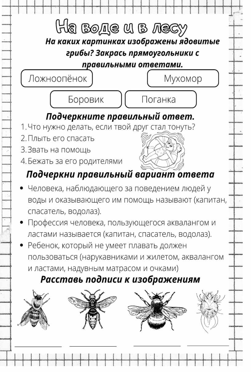 Рабочий лист к уроку окружающего мира по теме 