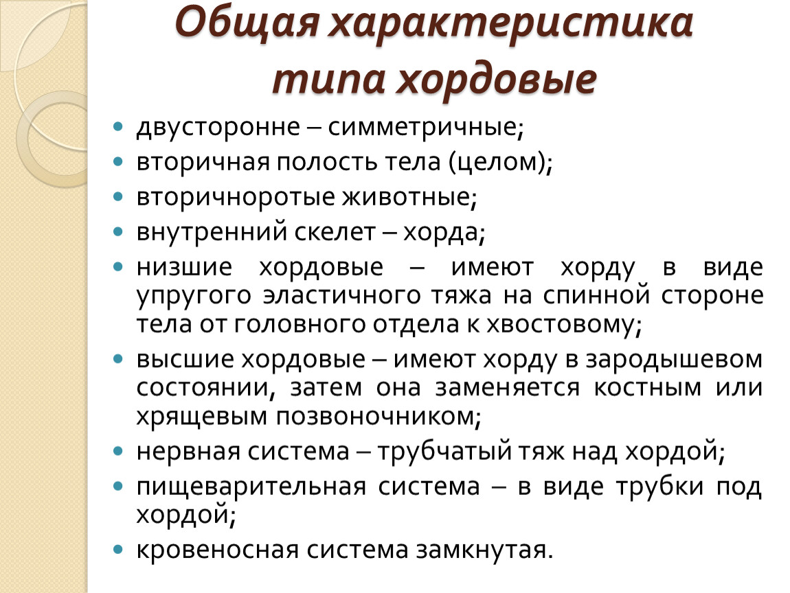 Краткая общая характеристика. Тип Хордовые общая характеристика. Общая характеристика хордовых. Тип Хордовые характеристика кратко. Общая характеристика Хордовые 7 класс кратко.