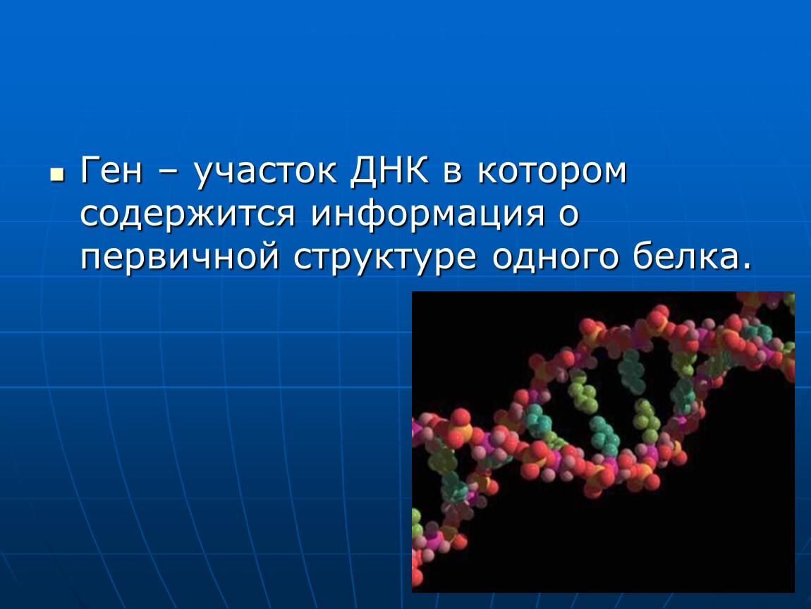 Синтез белка презентация 10 класс биология