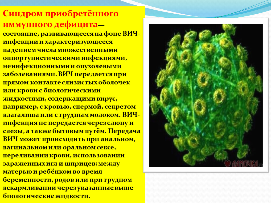 Синдром иммунного дефицита. Синдром приобретенного иммунитета. Инфекции передающиеся через биологические жидкости. Состояние дефицита. Содержится вирус ВИЧ В моче.