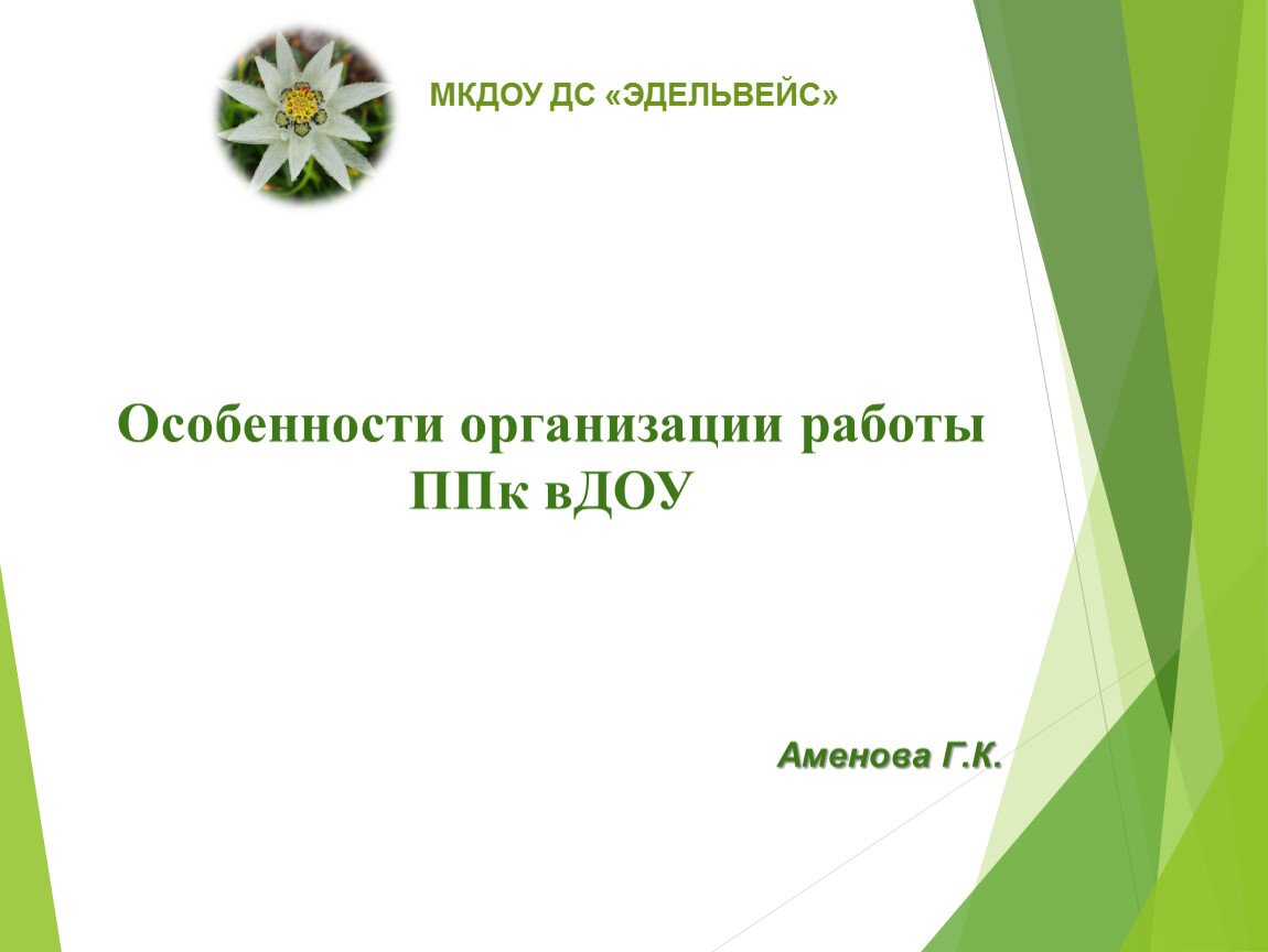 Особенности организации работы ППк вДОУ