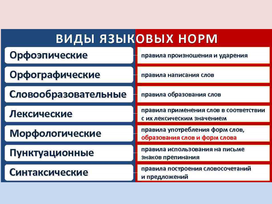 1 из разновидностей. Что такое языковая норма в русском языке. Основные виды языковых норм русского литературного языка примеры. Типы языковой нормы таблица. Нормы русского литературного языка типы норм.