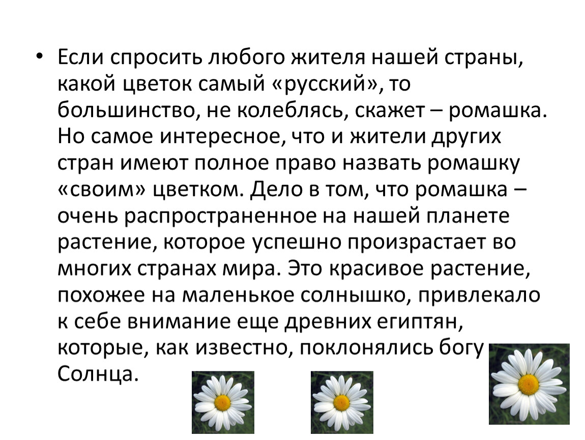 Песня ты скажи ромашка любит ли наташка. Ромашка символ чего. Цветок Ромашка символ чего. Ромашка символ доброты. Цветок символизирует доброту.