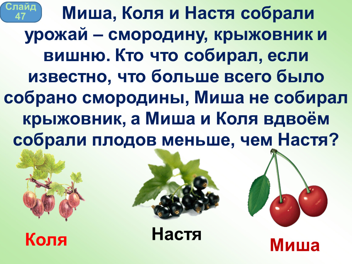 Миша собирайся