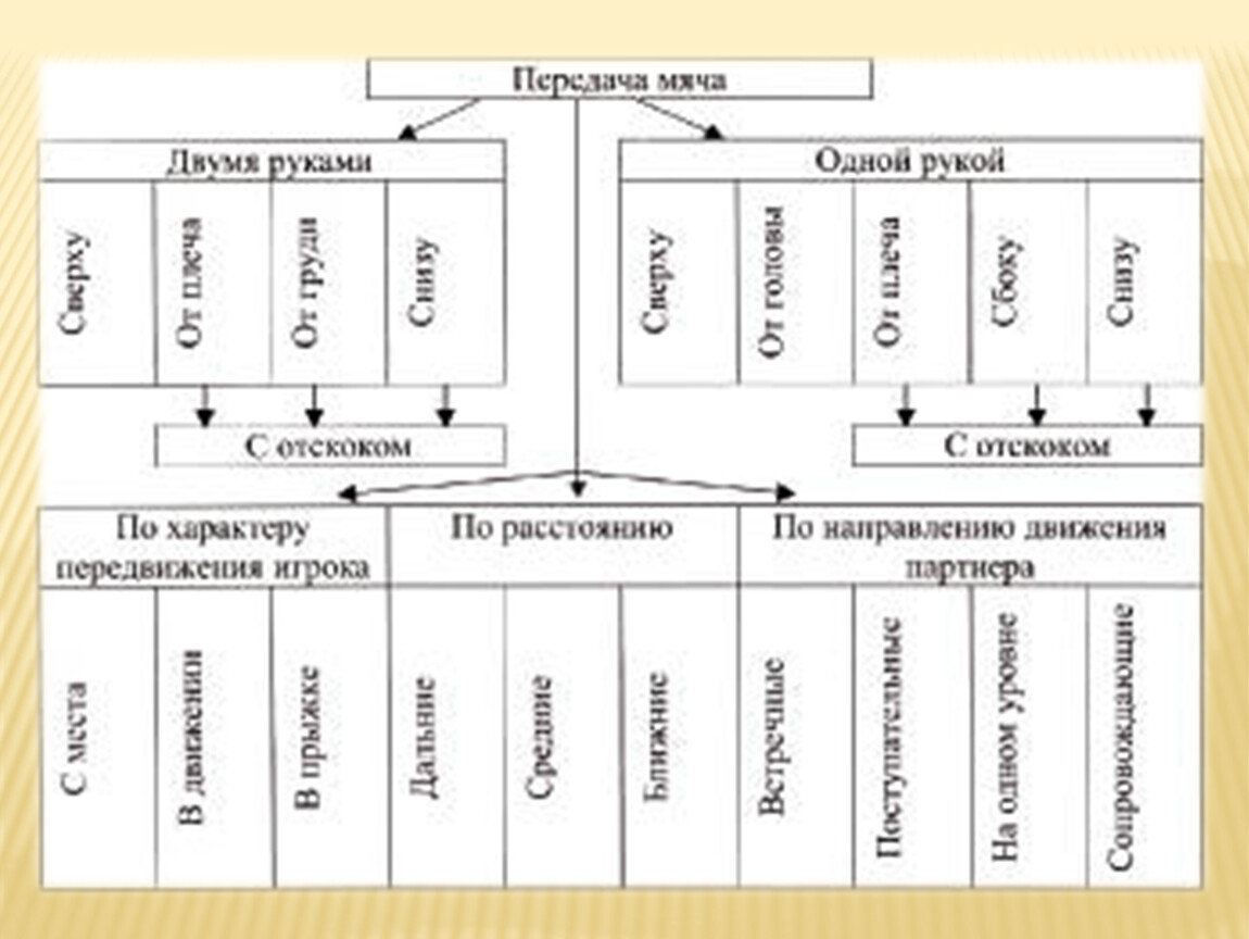 Как подразделяется ловля мяча в баскетболе