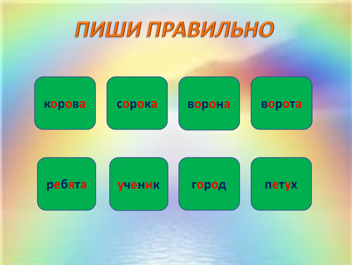 Как пишется сорока. Правильно по 1 языку 1 класс. Сорока как пишется правильно. Как правильно написать слово сорока. Как правильно Сарока пишется.