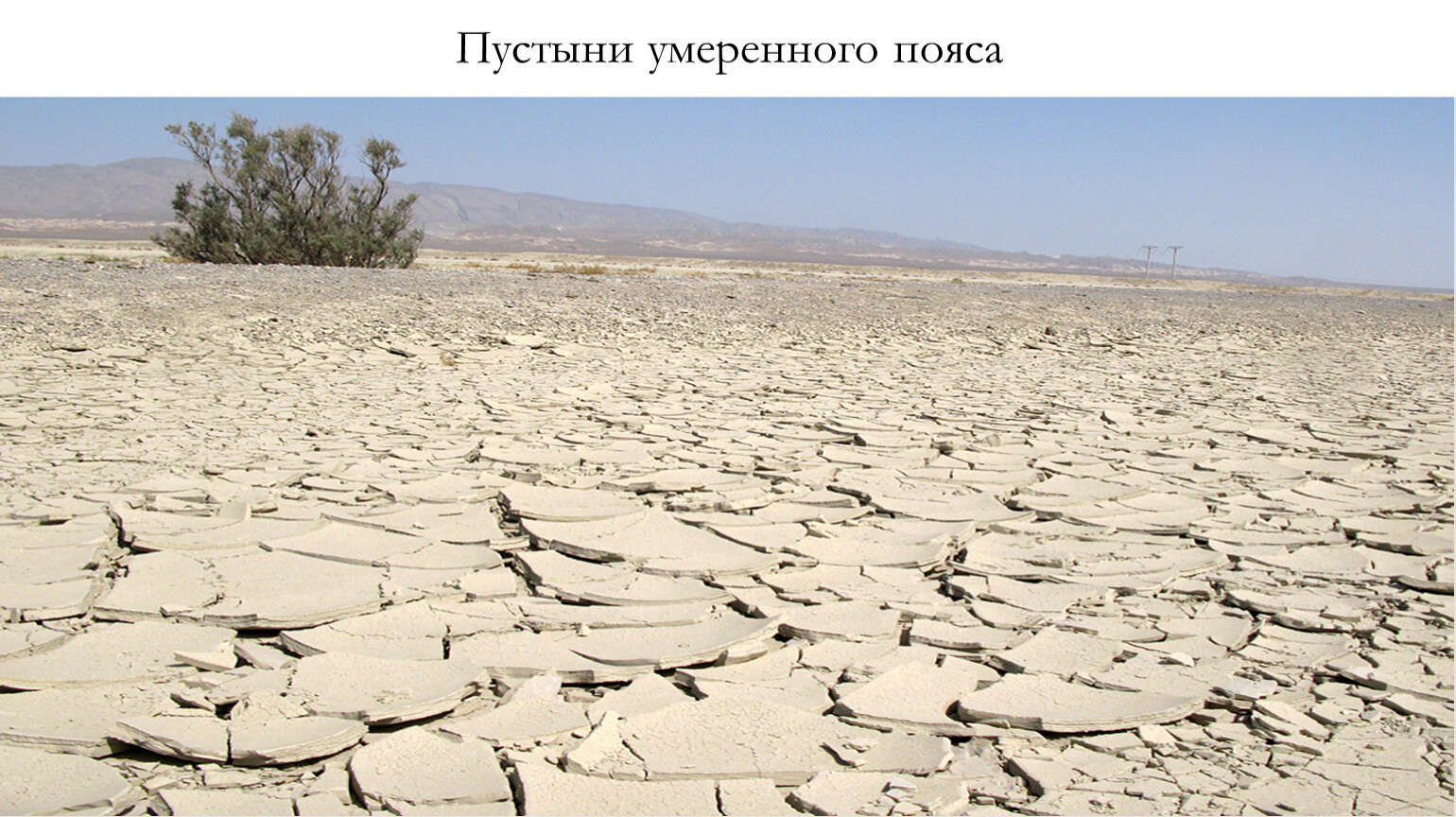 Умеренные почвы. Зона полупустынь и пустынь умеренного пояса. Полупустыни и пустыни умеренного пояса Евразии. Почвы пустынь умеренного пояса. Пустыни и полупустыни Евразии почвы.