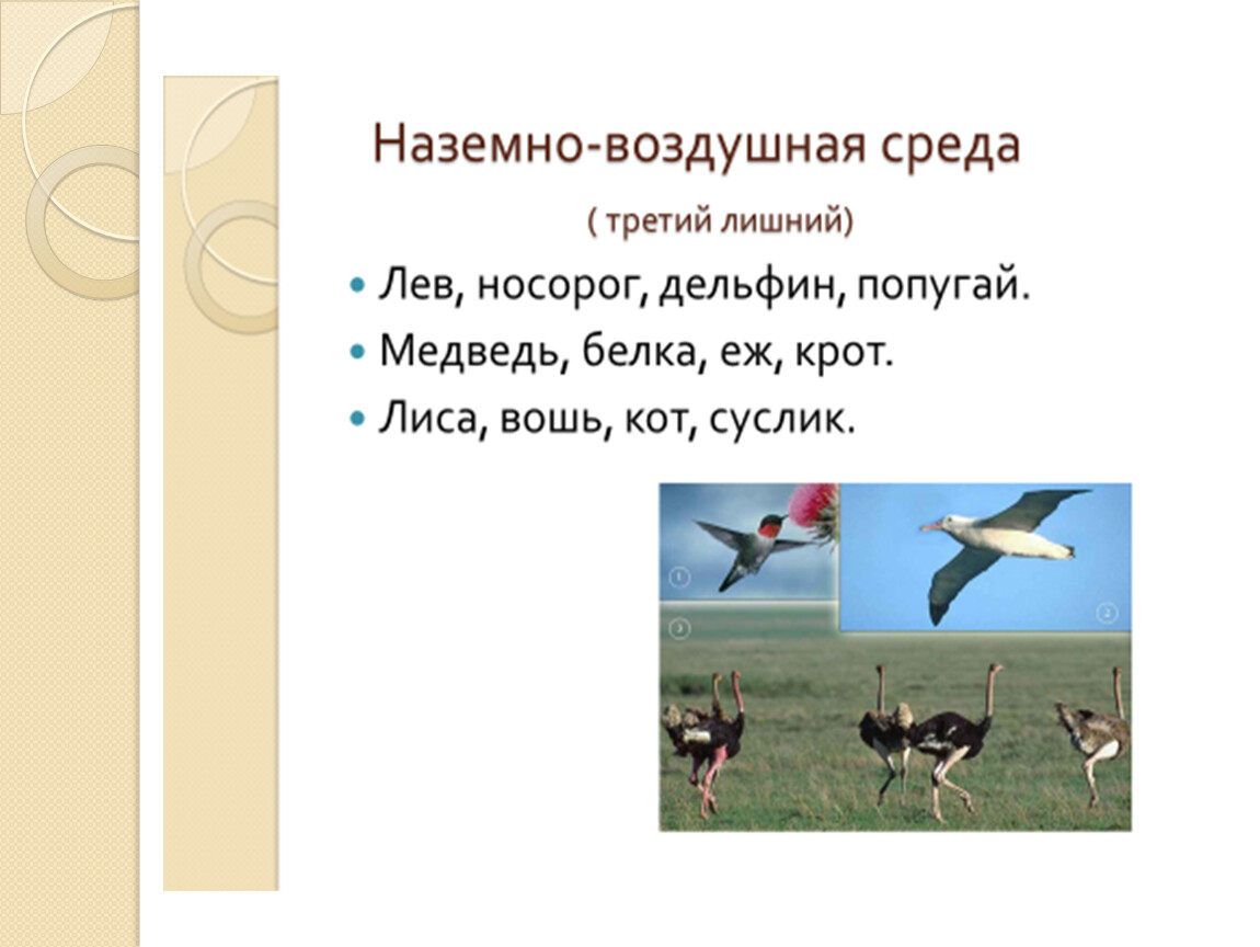 Наземно воздушная среда обитания 5 класс задания. Наземно-воздушная среда обитания организмов 5 класс биология. Кто обитает в наземно-воздушной среде. Наземно-воздушная среда обитания 5 класс биология. Наземно-воздушная среда обитания 5 класс биология презентация.