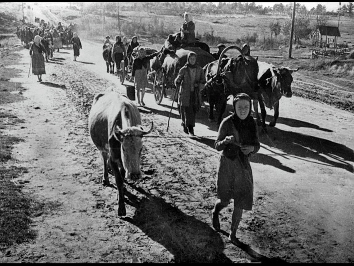 Фото в годы войны