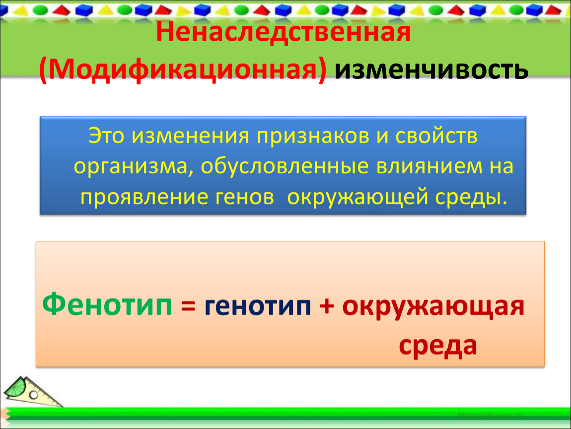 Ненаследственные изменения организма. Ненаследственная изменчивость. Модификационная или ненаследственная изменчивость. Изменчивость организмов наследственная и ненаследственная. Ненаследственная изменчивость презентация.