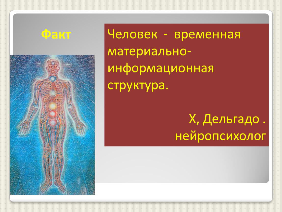 Человек - временная материально-информационная структура.. Информационная структура человека.