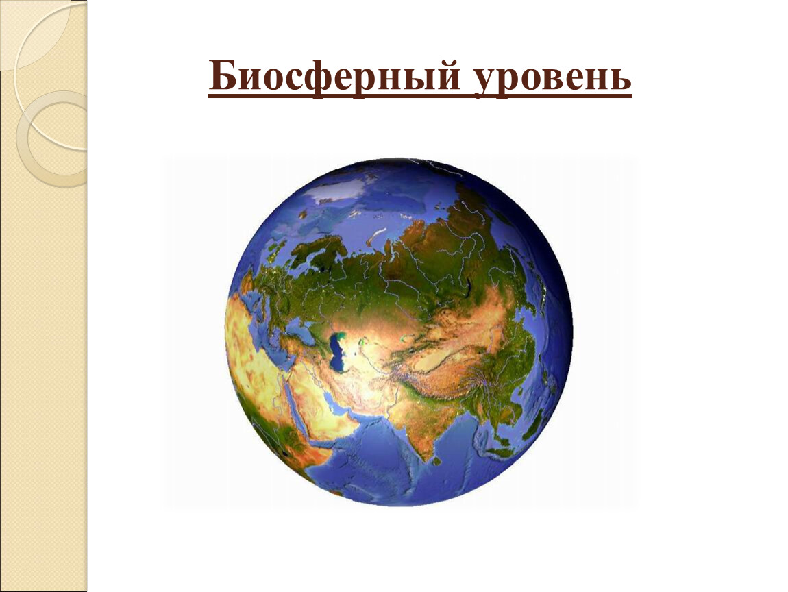 Биосферный уровень общая характеристика. Биосферный уровень. Биосферный уровень жизни. Биосферный уровень организации. Биосферный уровень уровень.