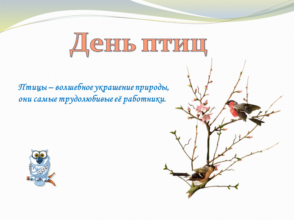 1 апреля день птиц картинки для детей