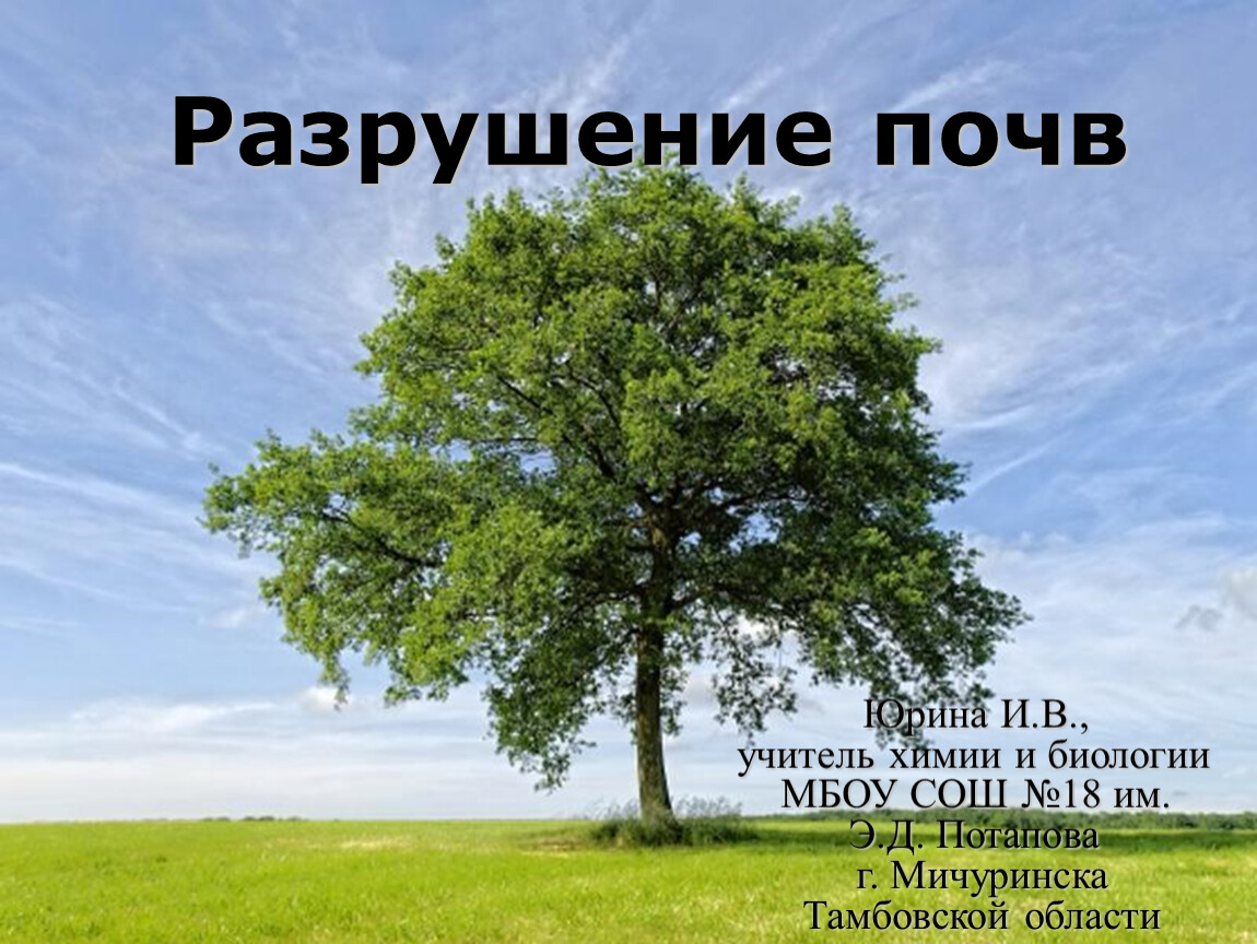 Общие закономерности природы. Природа родного края.деревья. Природа наше богатство. Деревья родного края. Закономерности в природе.