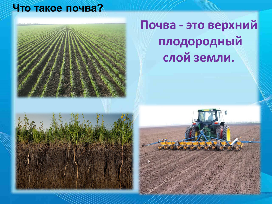 Почва - это верхний плодородный слой земли