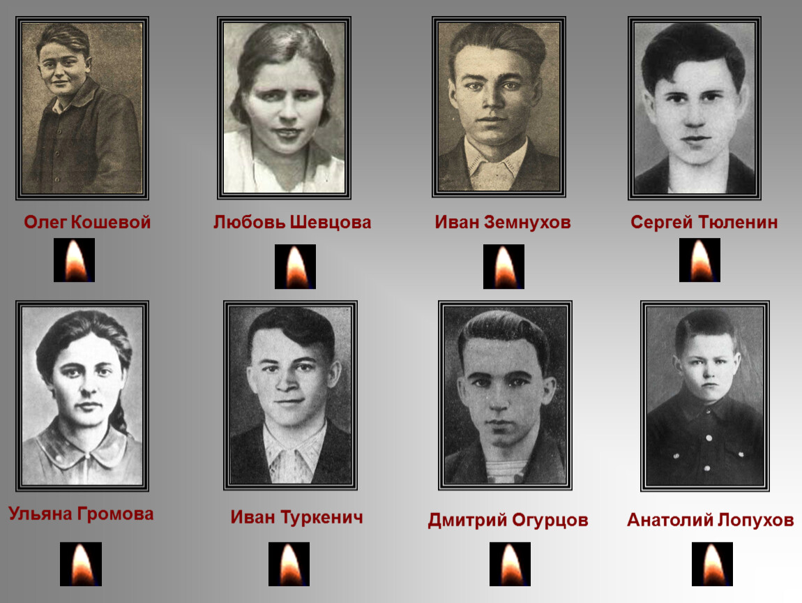 Подпольная организация молодая гвардия действовала в. Герои Краснодона молодая гвардия.