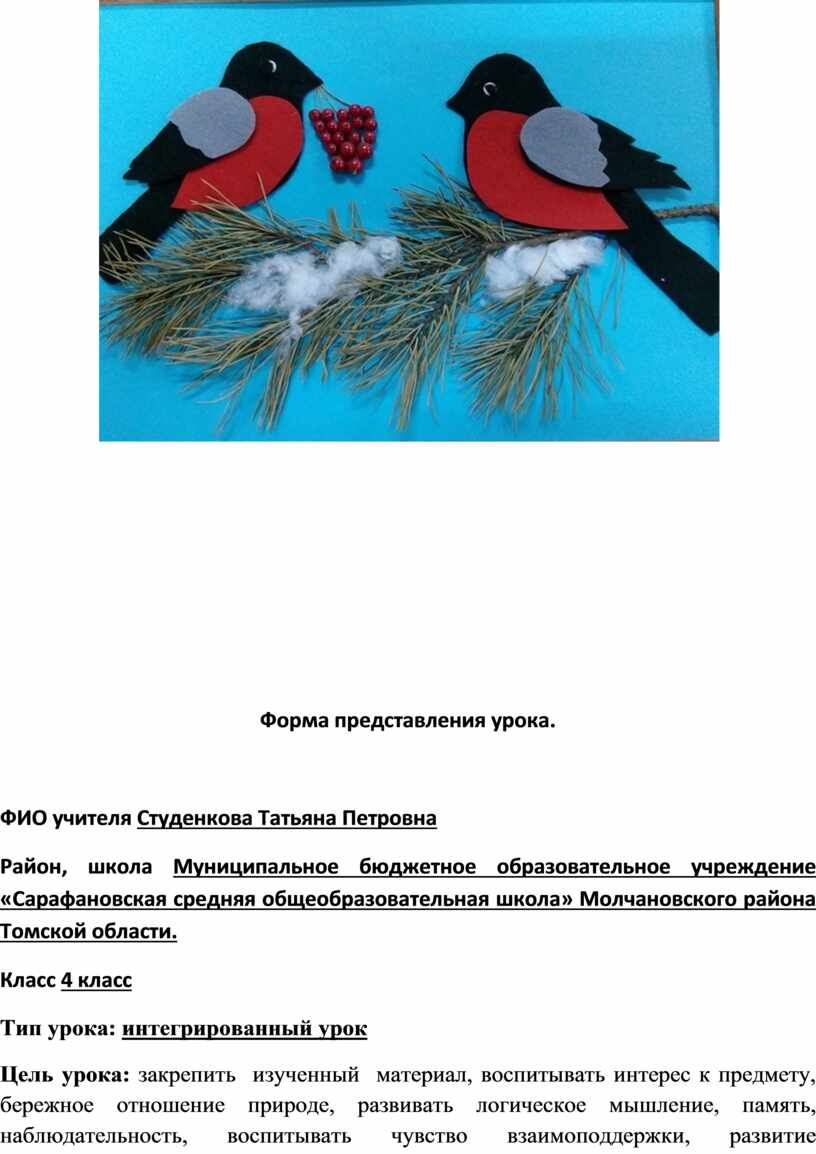 Конспект интегрированного урока окружающий мир и технология по теме: Кто  такие птицы?