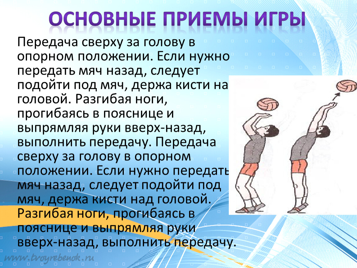 Презентация 