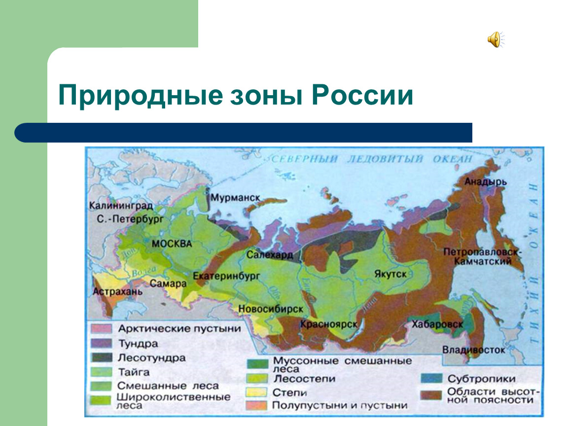 Карта с названием природных зон россии