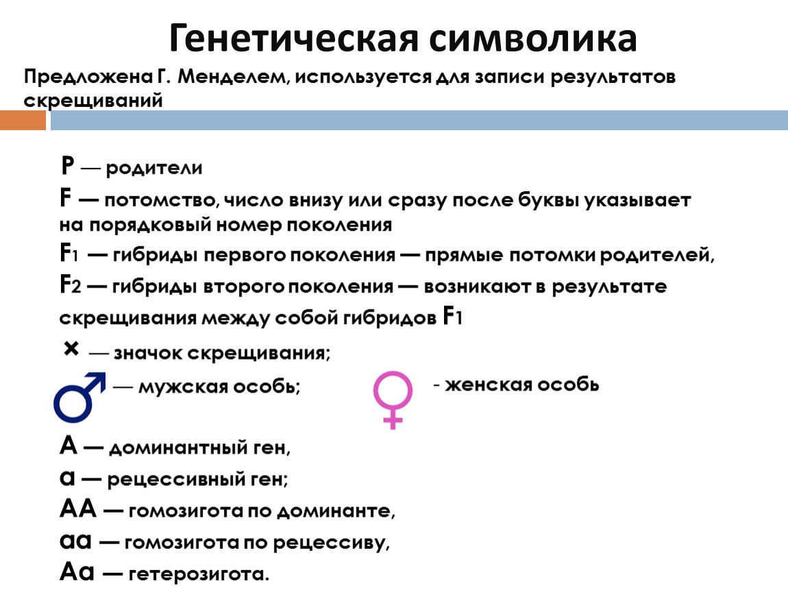 Генетические символы. Генетическая символика. Основа генетики генетическая символика. Потомства  число указывает на Порядковый номер поколения f1,f2. Потомство, число указывает на Порядковый номер поколения, f1, f2. Ответ 3.