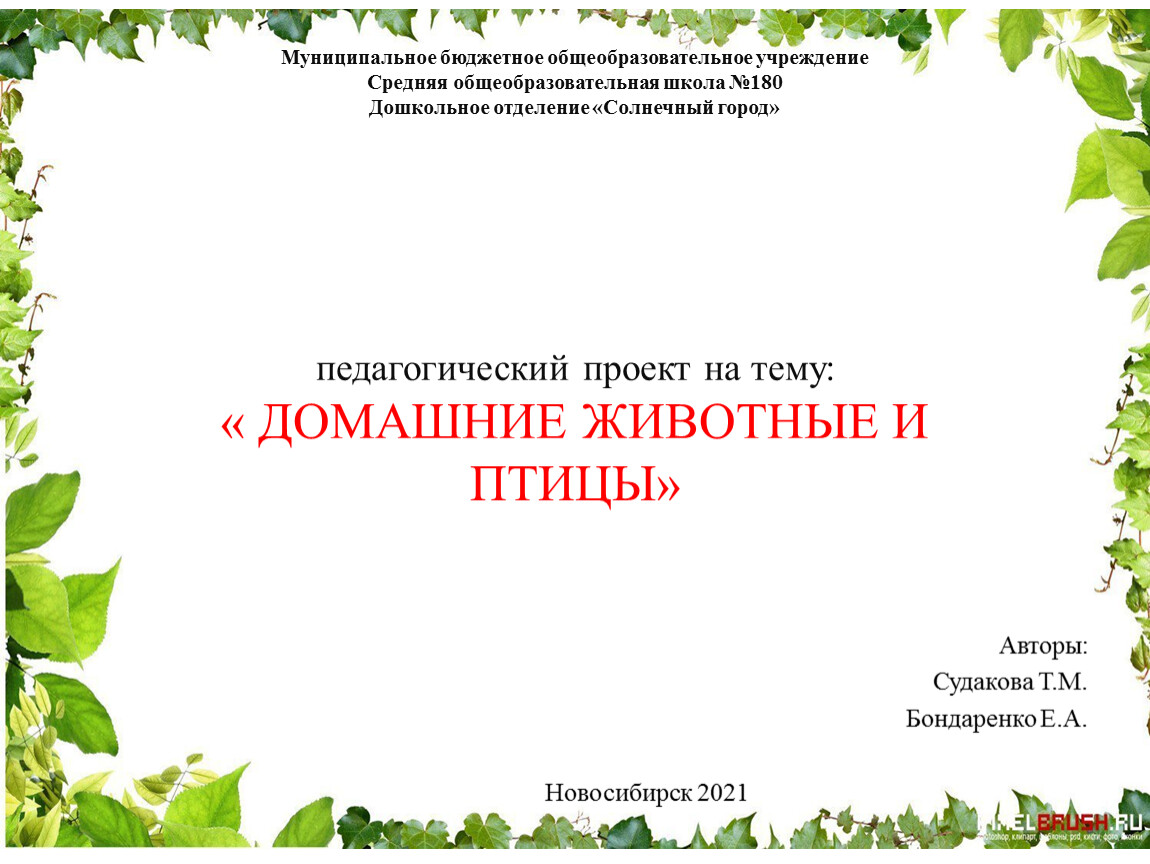 Педагогический проект на тему:« ДОМАШНИЕ ЖИВОТНЫЕ И ПТИЦЫ»