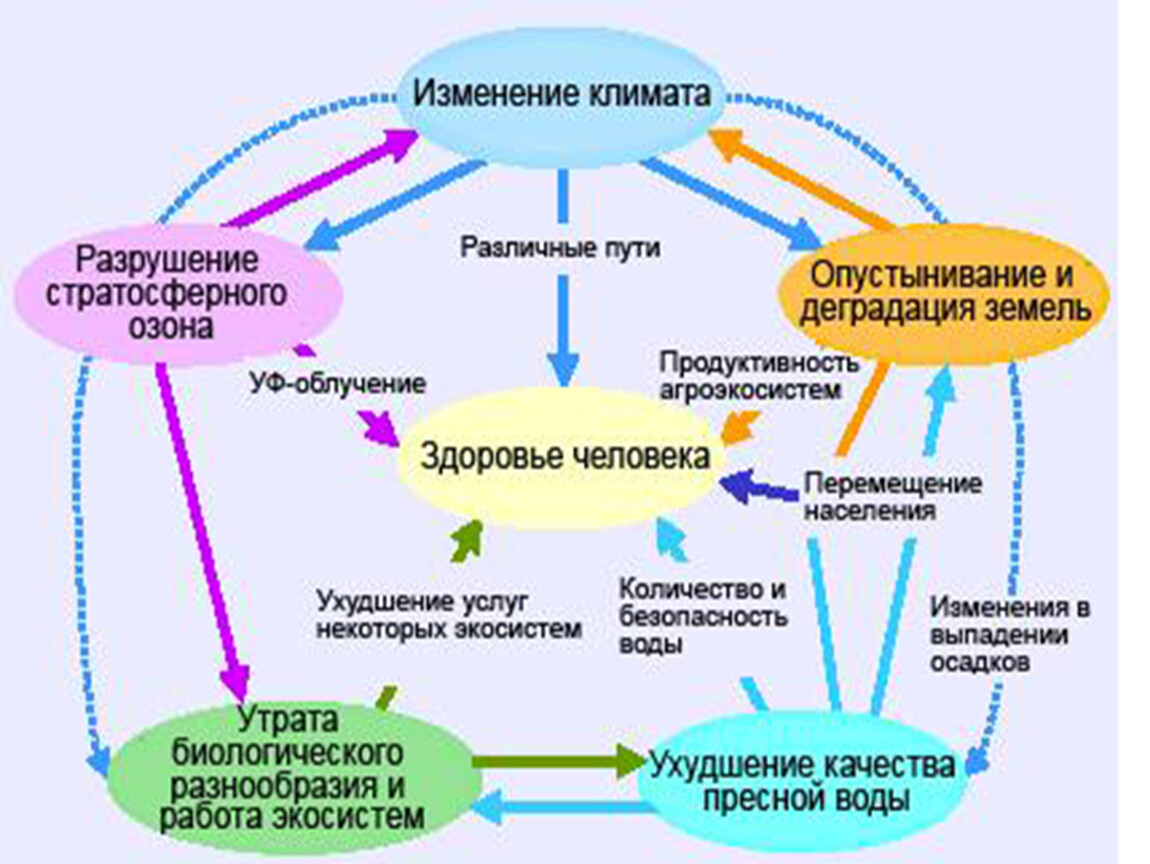 Влияние изменения климата на живую природу проект