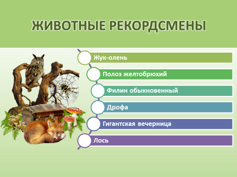 Рекордсмены растительного и животного мира Луганщины – самые большие и самые маленькие представители, обитающие на её территории, свидетельствуют о своеобразии и уникальности природы нашей местности.