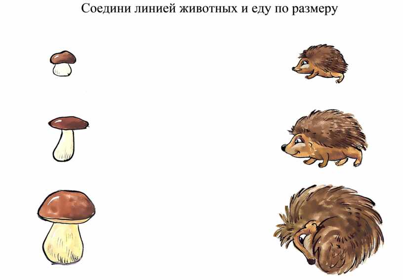 Грибы большие и маленькие картинки