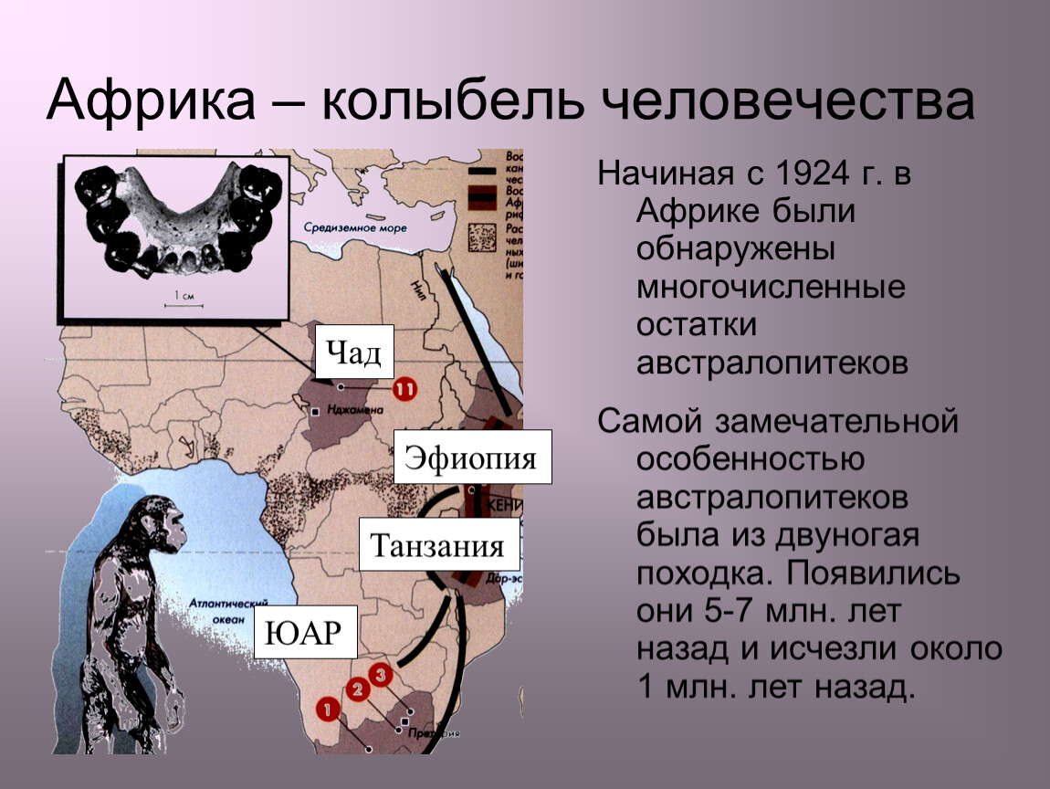 Где человечество