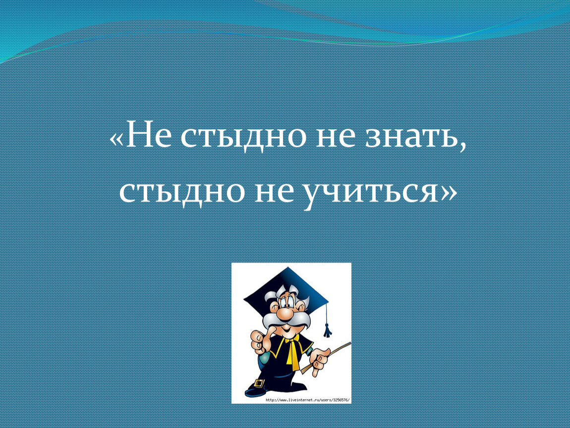 Стыдно знать. Не стыдно не знать учиться. Не стыдно не знать стыдно. Стыдно не учиться. Цитаты не стыдно не знать.