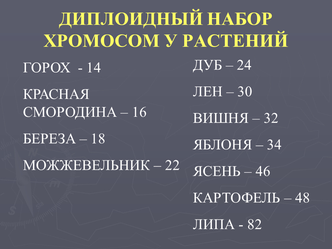 Гаплоидный набор хромосом. Диплоидный набор хромосом. Набор хромосом у растений. Диплоидный набор хромосом у растений. Диплоидный набор хромомосом.