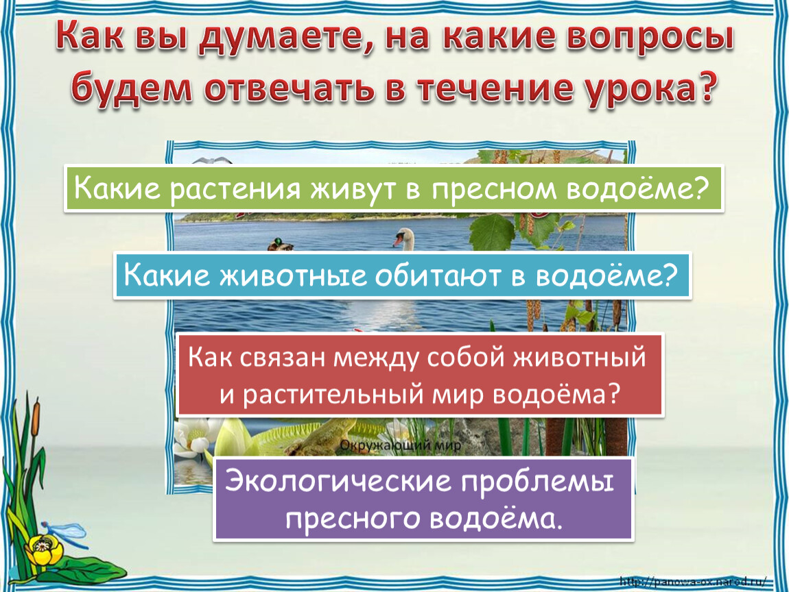 Жизнь в пресных водах презентация 4. На какие группы делятся животные водоема. Экологические проблемы пресных водоемов. Условия обитания в пресных водоемах. Как связаны между собой растения и животные.