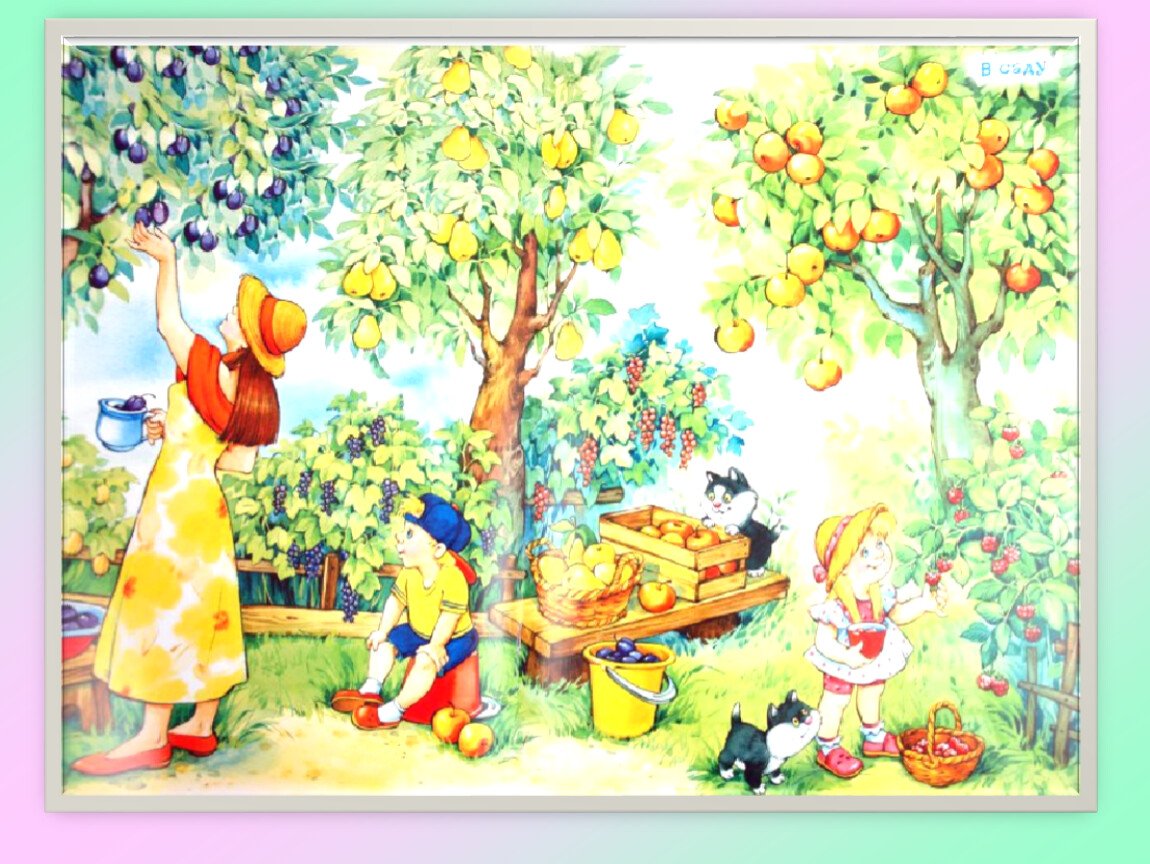 Картинка сад для детей. Фрукты растут в саду. Сад с фруктовыми деревьями для детей. Картина сбор урожая для детского сада. Сюжетная картина сад.
