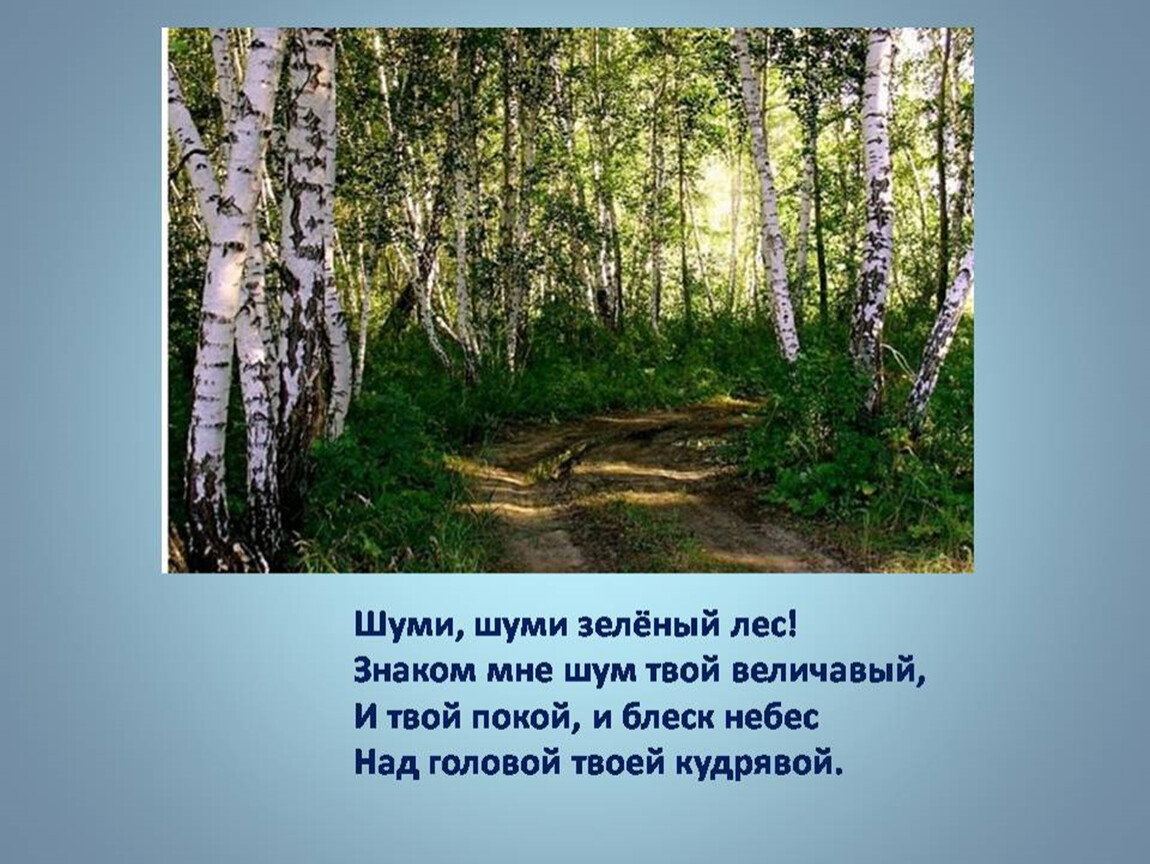 Стихотворение шуми шуми. Иван Никитин шуми шуми зеленый лес. Лес Никитин стих. Стихотворение Никитина лес. Иван Саввич Никитин лес.