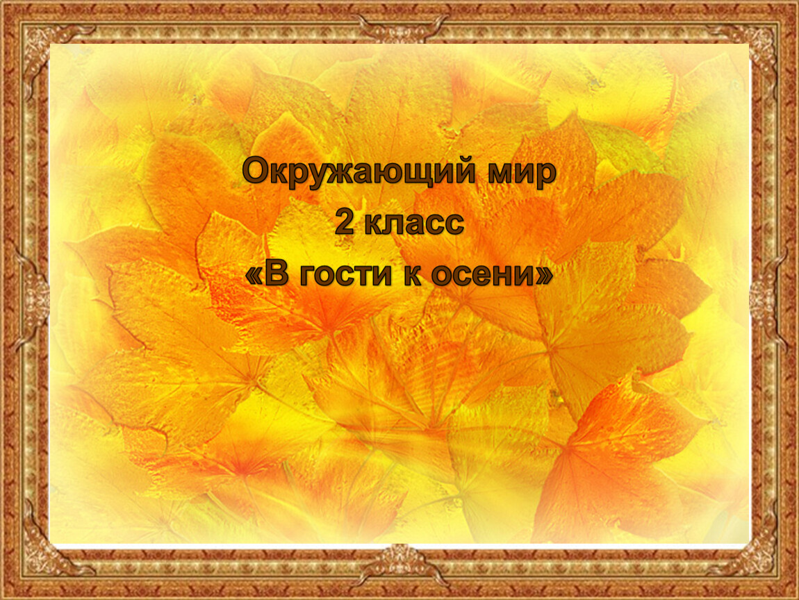 В гостях у осени. Презентация в гости к осени. Окружающий мир в гости к осени. Презентация на тему в гости к осени. Осень 2 класс окружающий мир.