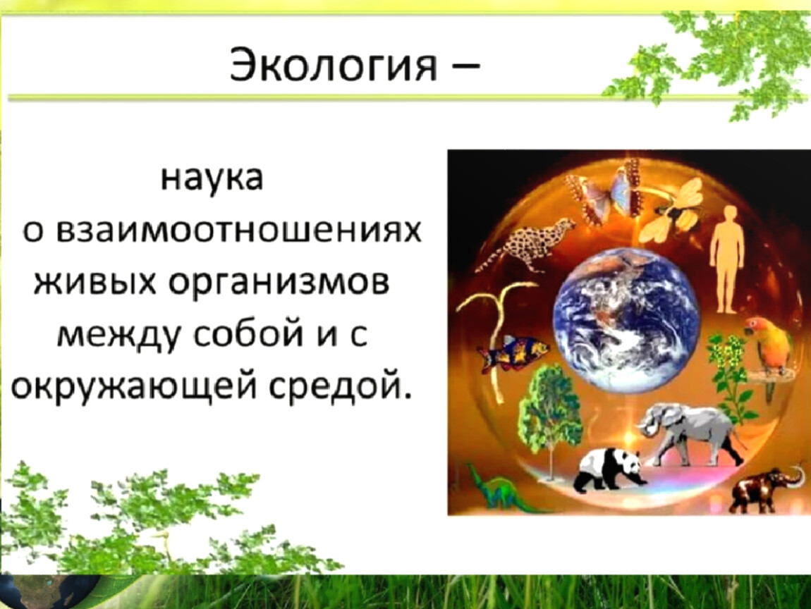 Презентация об экологии для начальной школы