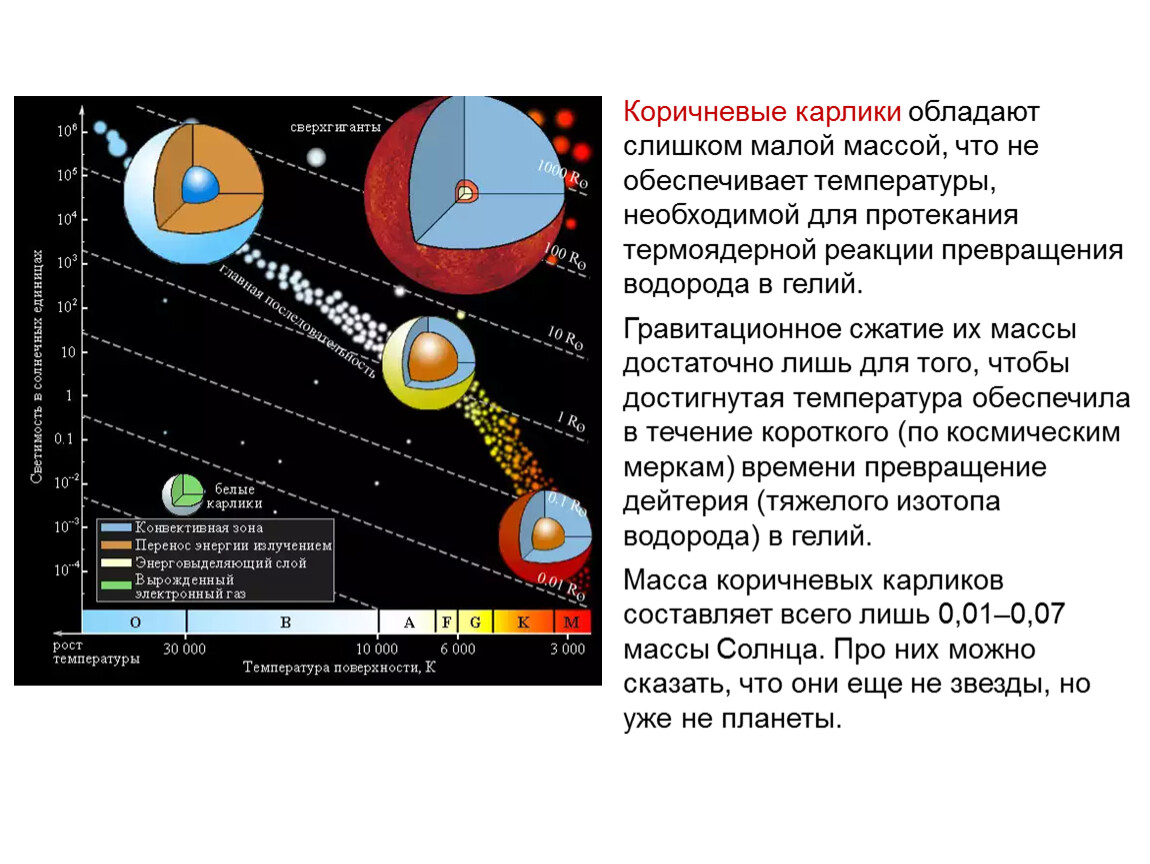 Сверхгиганты белые карлики. Диаграмма спектр-светимость звезд. Массы и Размеры звезд доклад. Диаграмма спектр светимость Герцшпрунга Рассела. Массы и Размеры звезд презентация.