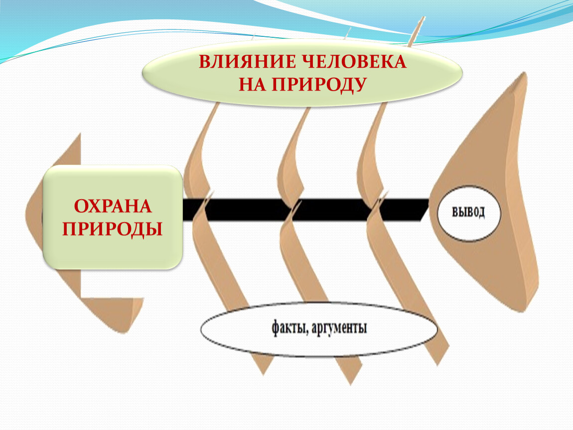 Влияние природы. Влияние природы на человека и общество план. Влияние человека на природу вывод. Влияние природы на общество Аргументы. Охрана природы действия.