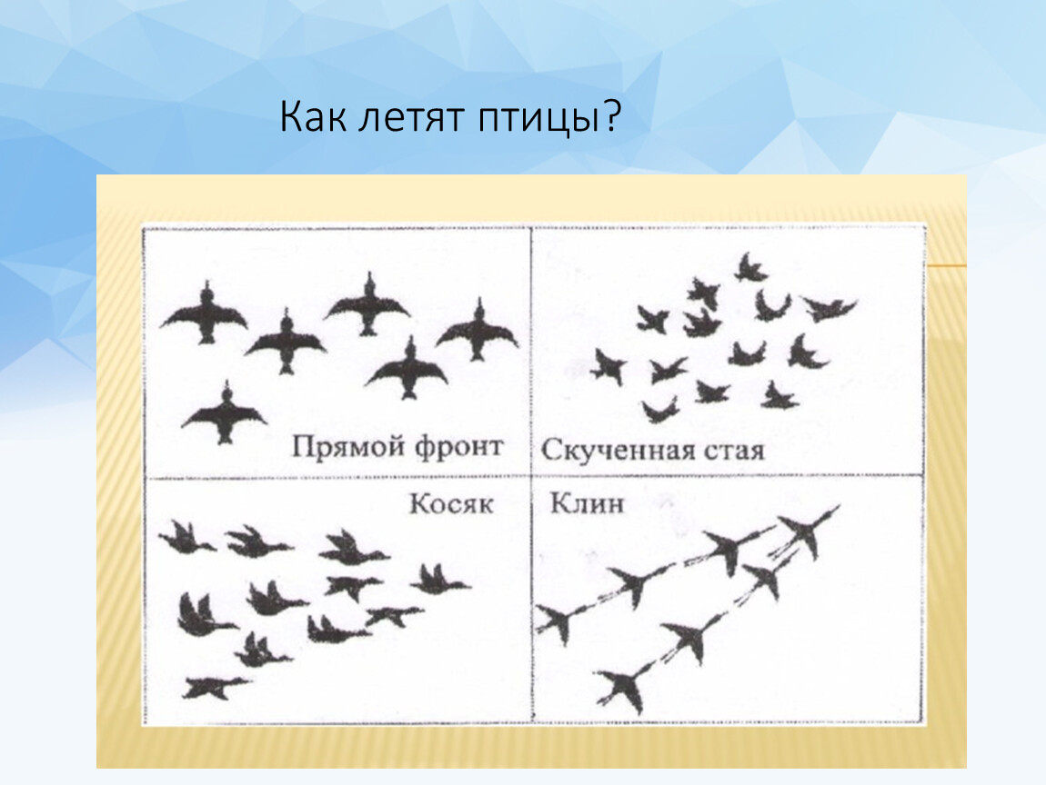 Как нарисовать в небе журавлиный клин в