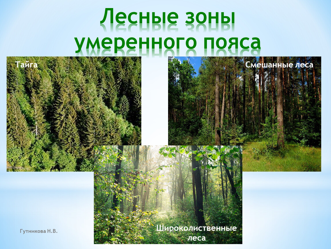 Климат лиственных лесов умеренных поясов