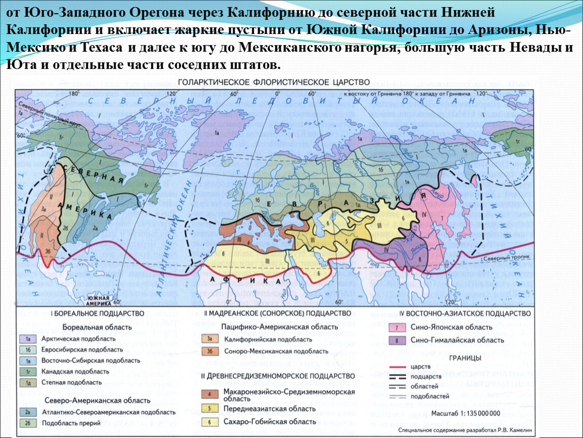 Фаунистические области карта