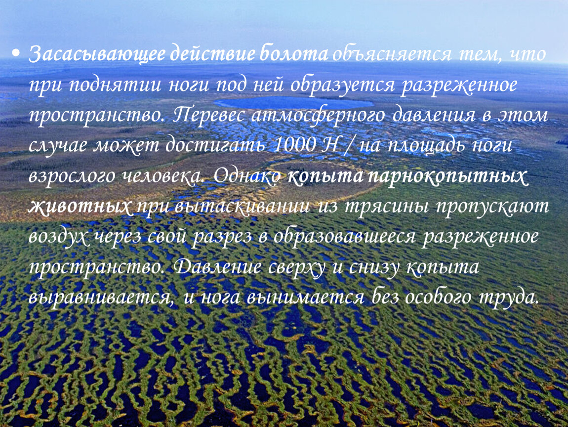 Где находится болотное. Карта Сибири Васюганское болото. Факты о Васюганских болотах. Заповедник Васюганский заповедник. Васюганское болото интересные факты.