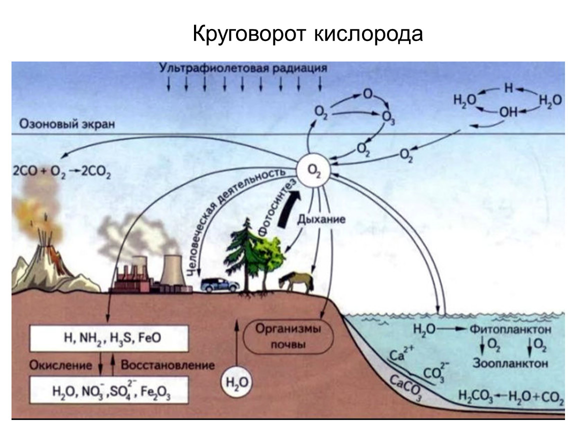 Кислород схема образования