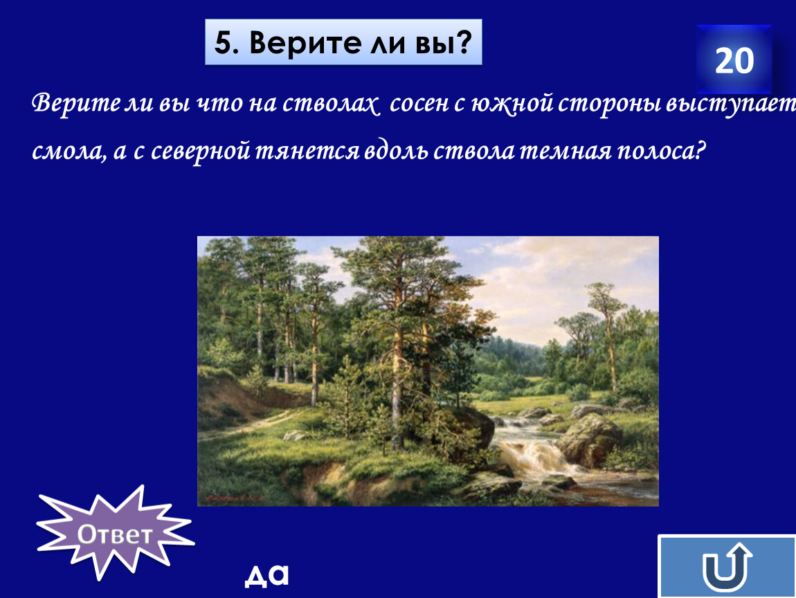 Тянулся вдоль. У сосны вдоль ствола тянется темная полоса. У сосны вдоль ствола тянется темная полоса с какой стороны. Простирается вдоль горизонта,. Сосна со сторонами горизонта.