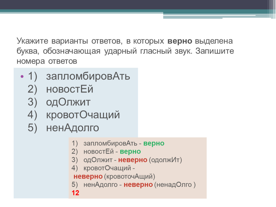 Русский язык. Подготовка к ЕГЭ-2024. Практикум