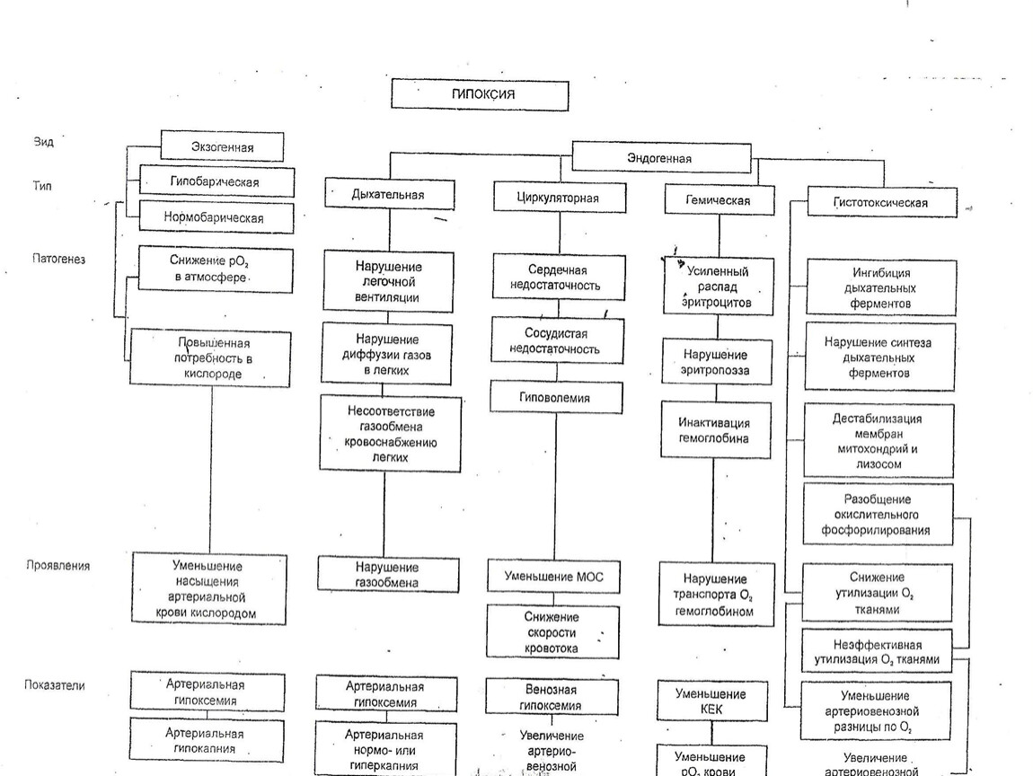 Характеристика гипоксии