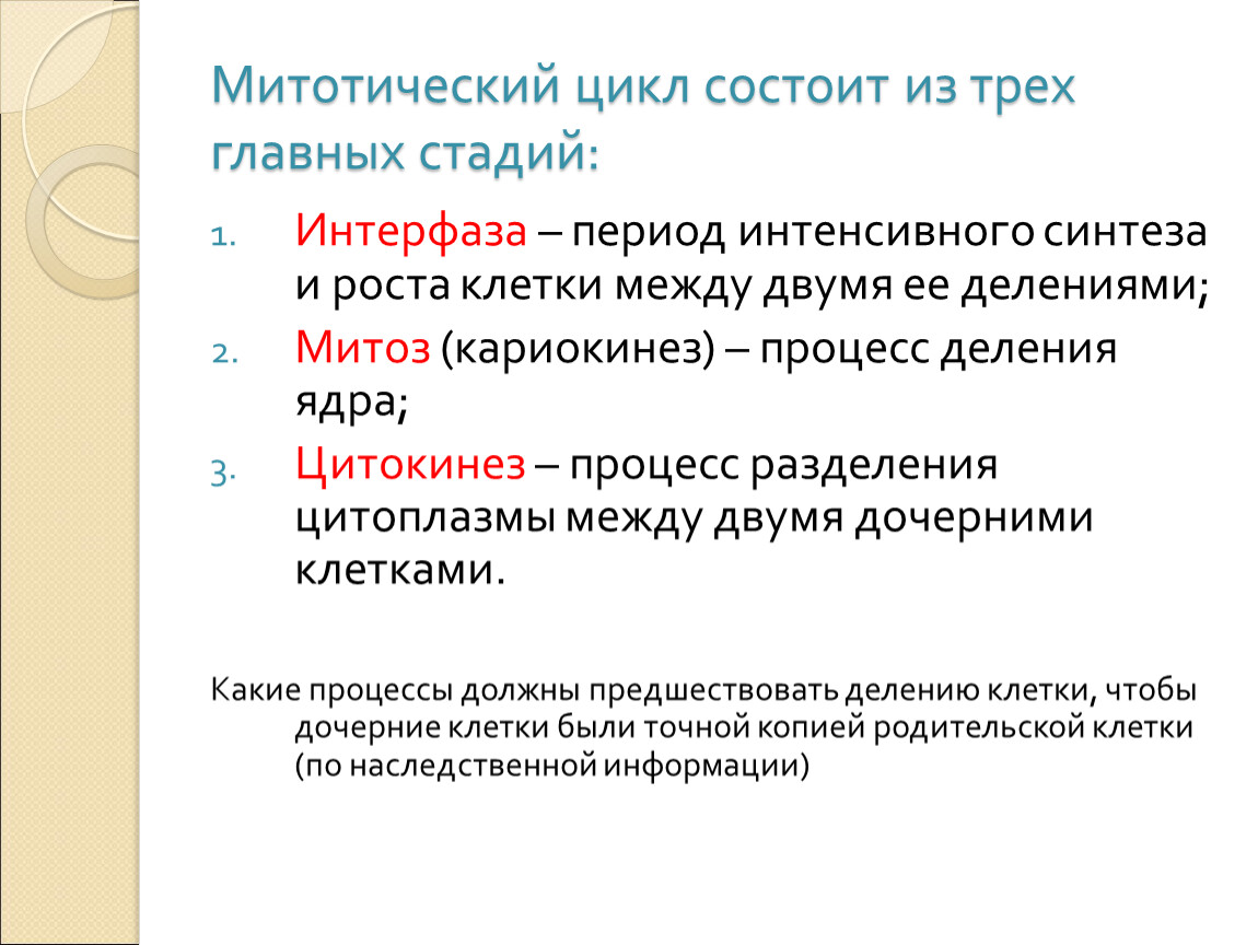 Интенсивный период. Митотический цикл состоит. Митотический цикл презентация. Митотический цикл и его периоды. Митотический цикл деления..